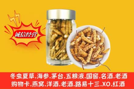 湖州安吉县名酒回收散虫草.jpg